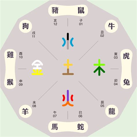 五行六合|十二地支的五行六合局的详细解读